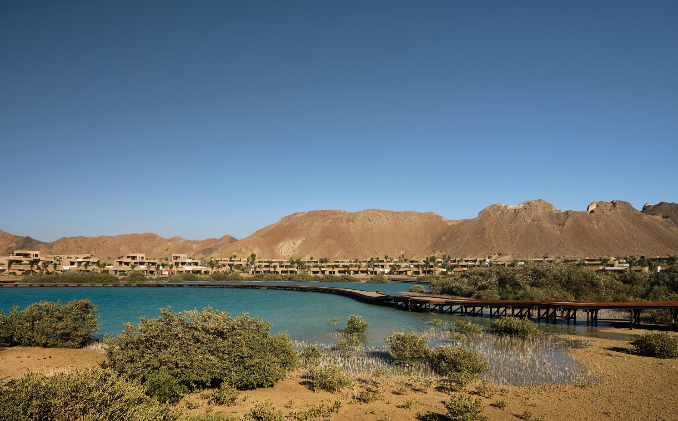 Mangrove lagoon and boardwalk at Six Senses AMAALA